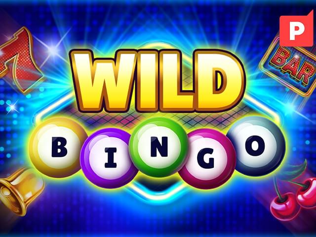 5550 bet Bingo Selvagem